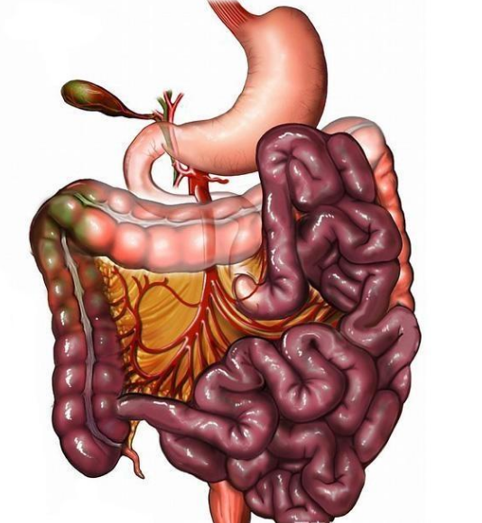 腸息肉者，排便出現(xiàn)3個異常，十有八九息肉已變成“癌”